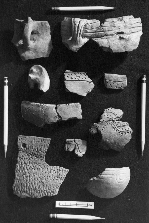 Pottery shards from the Madira Bickel Mounds, circa 1900