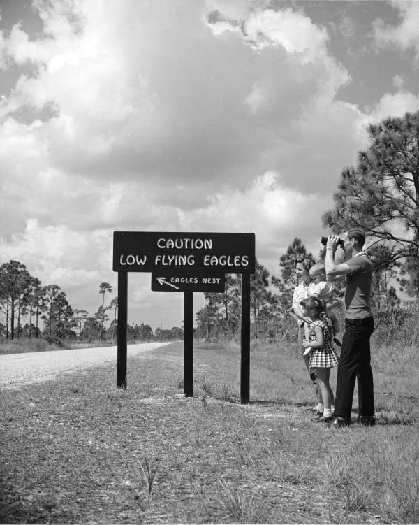 This photo shows a family, probably in the early or mid-1970s, posing as birdwatchers in front of a large interpretive sign. 