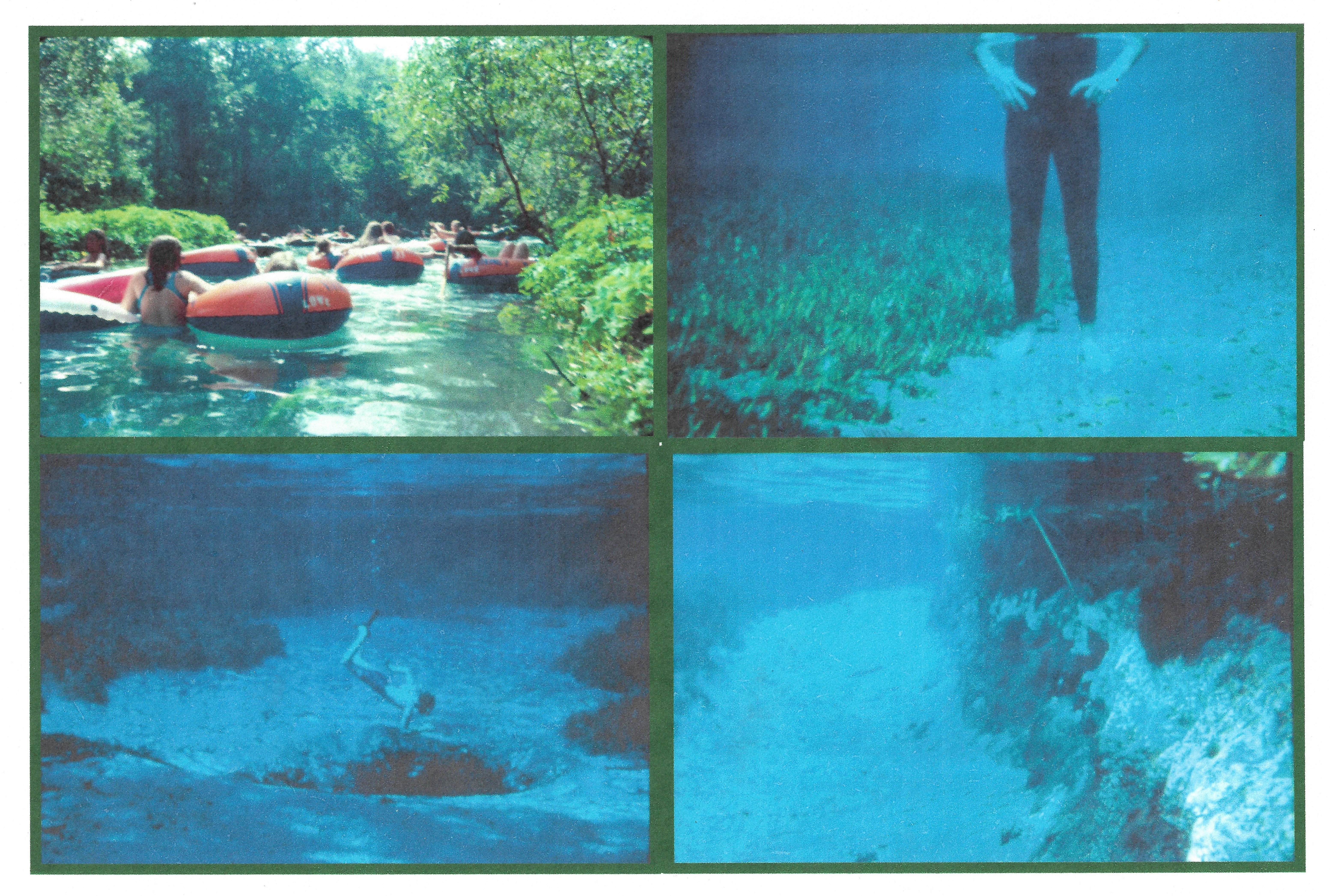 Four images: 1) a group of people use orange and white tubes to float down the river; 2) a person wearing a black wet suit standing on the river bottom with sand under the left foot and grasses under the right foot; 3) a snorkeling swimming toward a spring vent; 4) the sandy river bottom