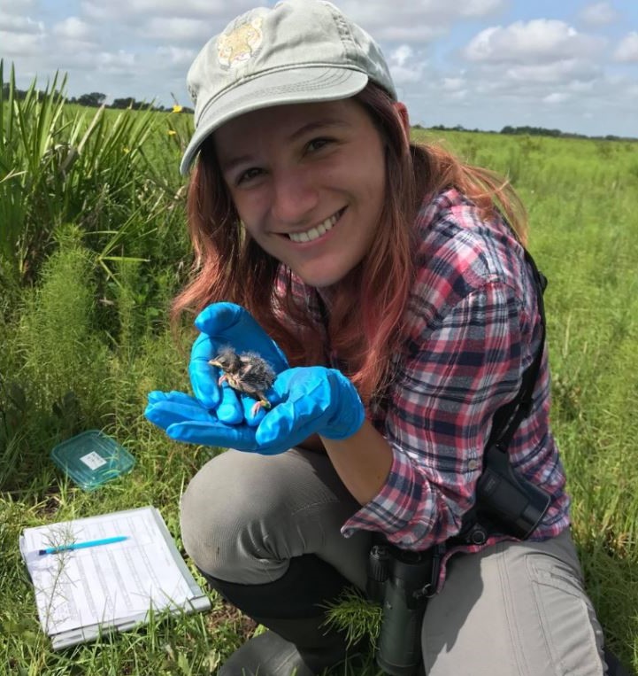 Florida Grasshopper Sparrow Lead Tech Jenna Atma smiling for the camera and holding a FGSP nestling in her hand