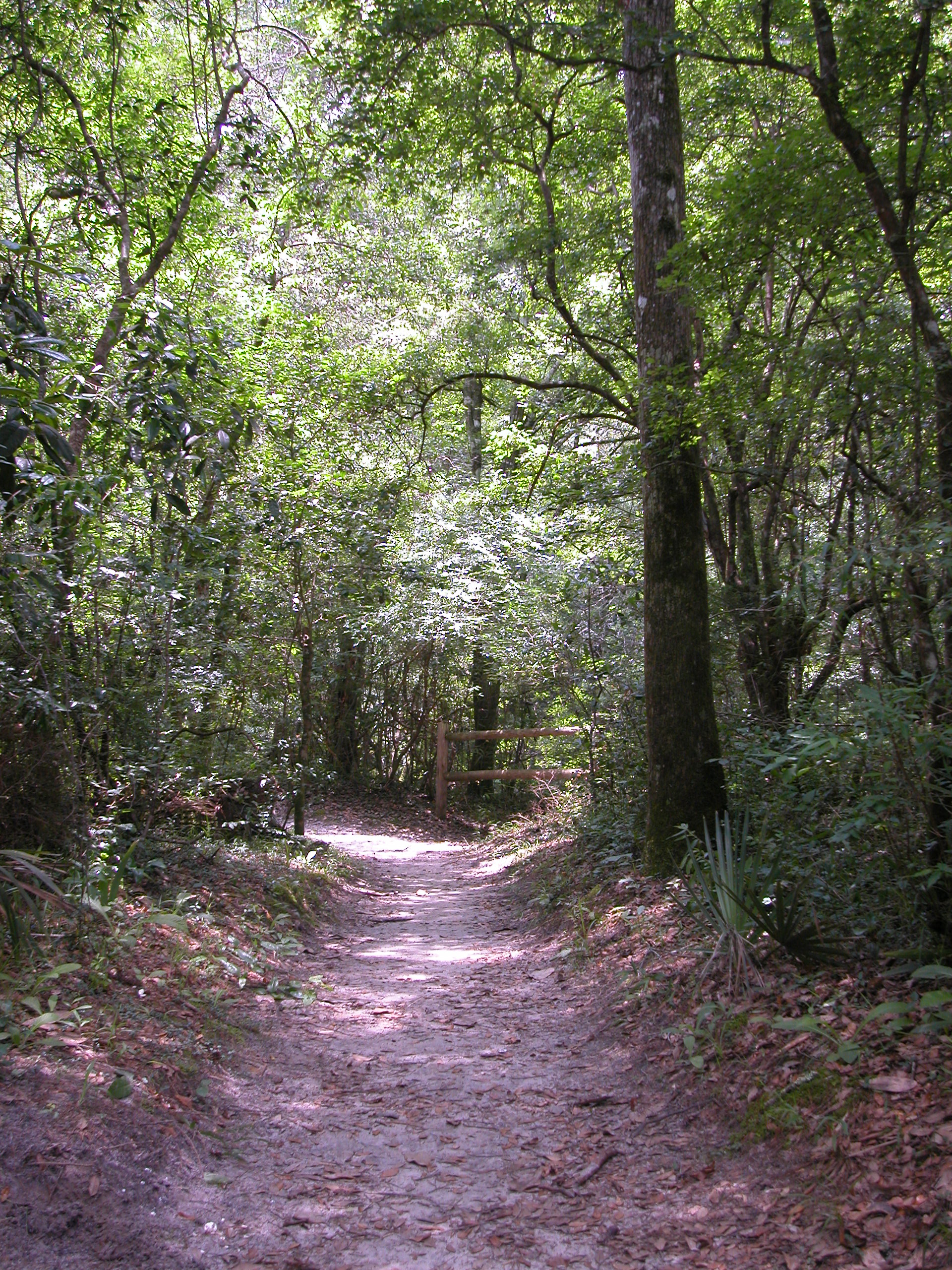 Trails at Ponce de Leon 
