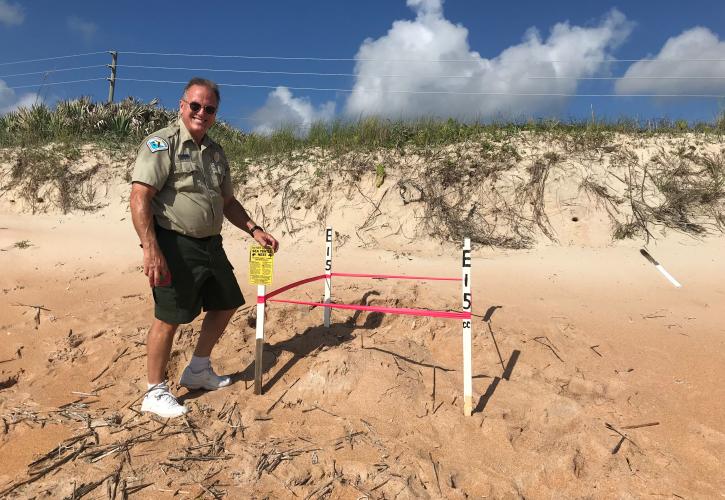 Park Ranger Tom standing next to a marked sea turtle nest