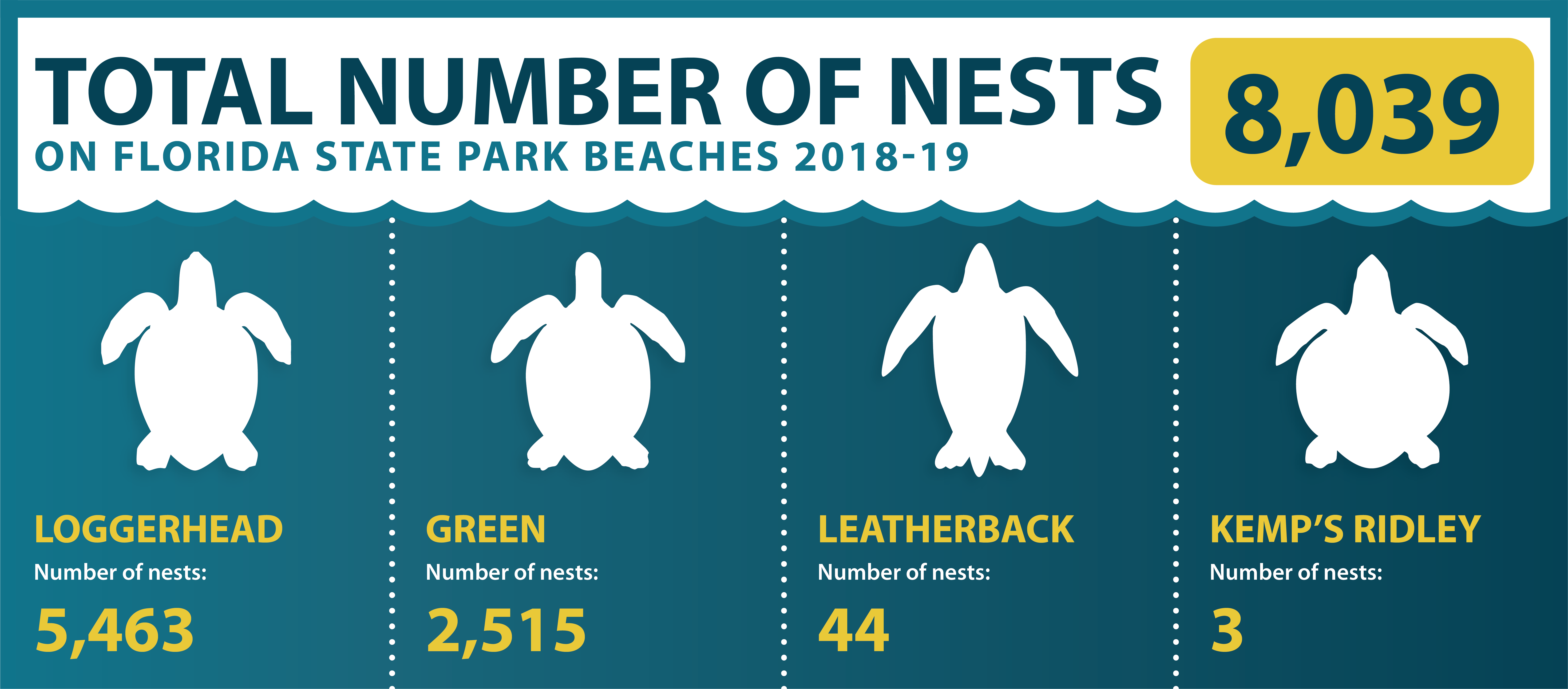 A graphic showing the number of turtle nests on state park beaches 2018-19. 5463 loggerhead, 2515 green, 44 leatherback, 3 kemp's ridley. 