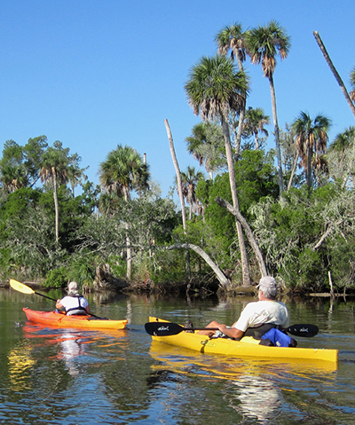 Two kayakers on water with palm trees in background