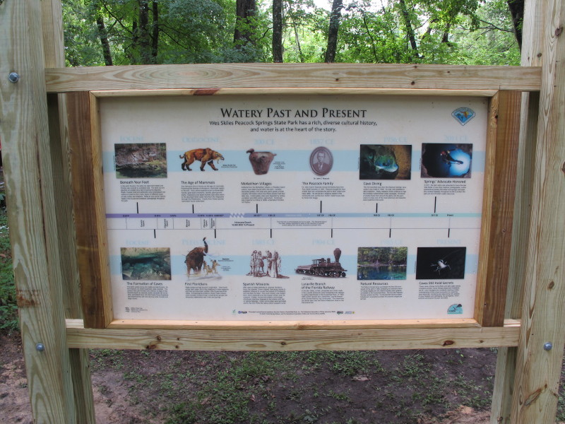 a panel in the woods has a history timeline with images.