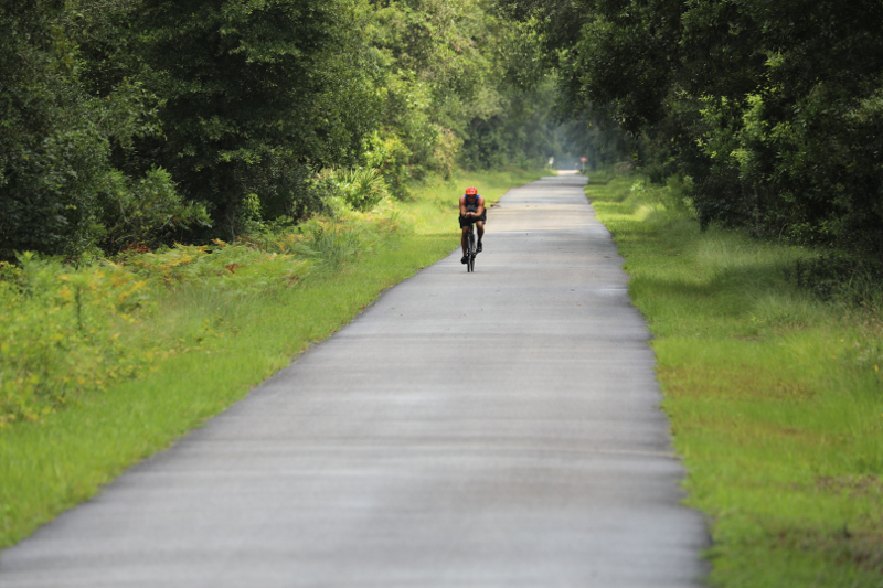 a single cyclist rides down a long path among green trees