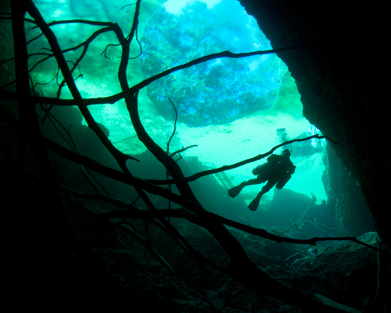 a single descending diver is silhouetted against the blue water.