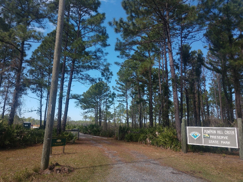 a dirt trail winds through pine trees past a sign saying pumpkin hill creek preserve state park