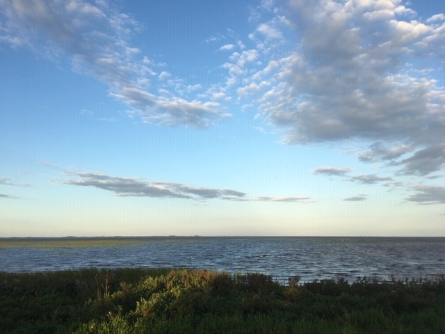 View of Lake Kissimmee from the shore