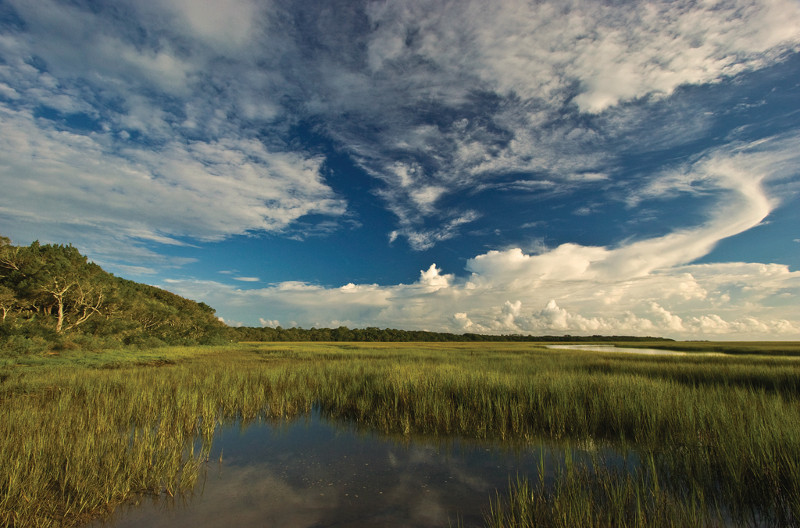 clouds in a blue sky over a grassy marsh