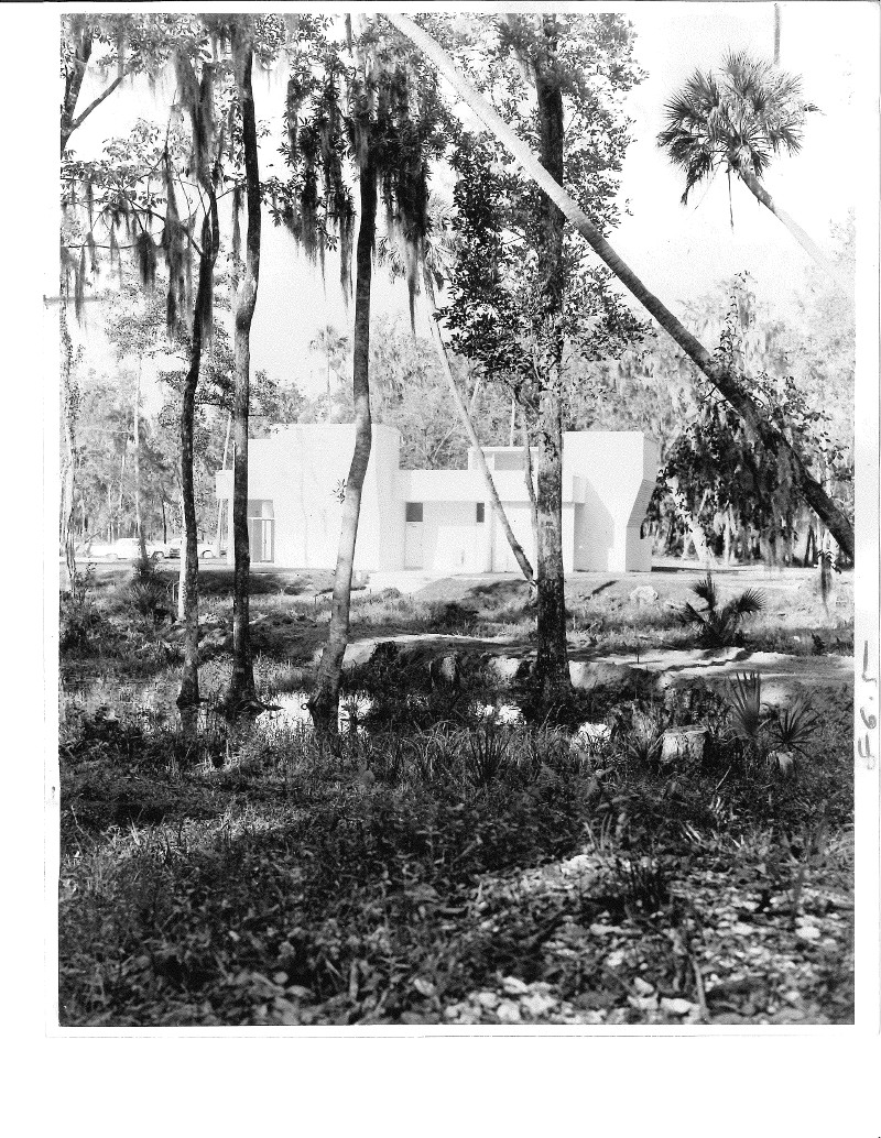 black and white picture of a rectangular building surrounded by palm trees