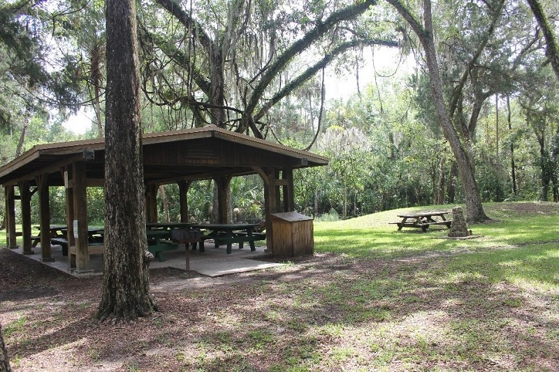 a picnic pavilion with tables sits in a grassy area under oak trees draped in spanish moss.