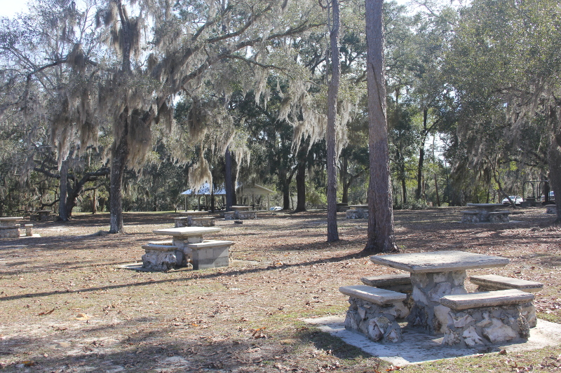 picnic tables scattered across an open area shaded by trees