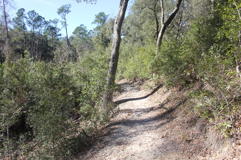 a sandy trail extends along the side of a slope