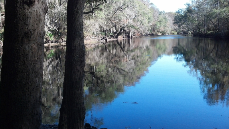 a blue river reflects trees on its banks