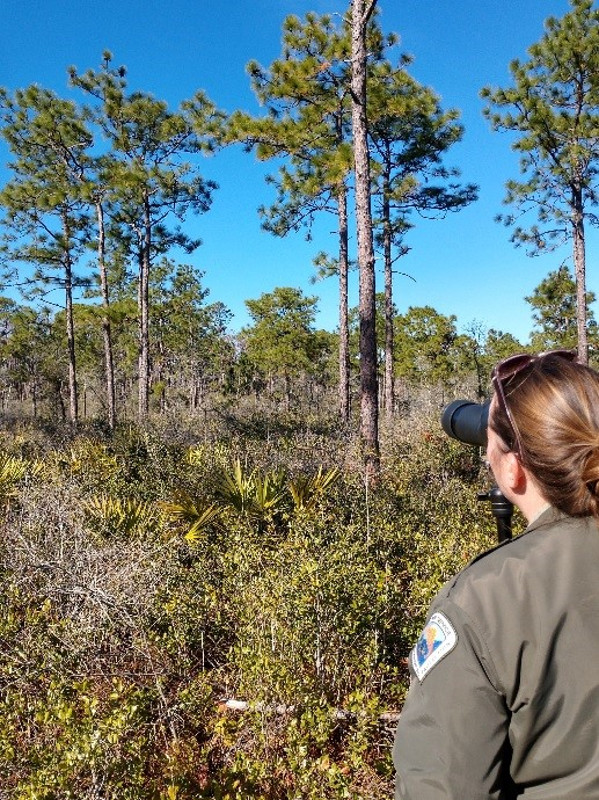 a park ranger looks through a pair of binoculars to a treeline
