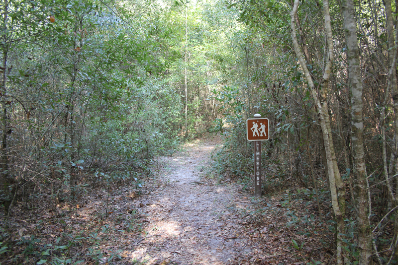 a trail extends into the woods, with a brown sign that says "limestone"