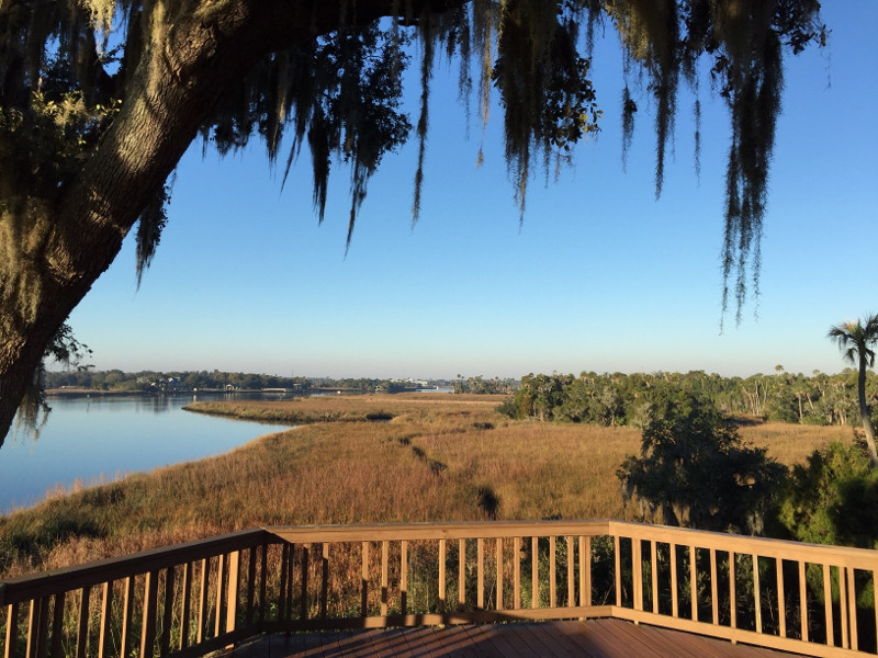 an observation deck looks out on a blue river, golden grasses, and various trees.