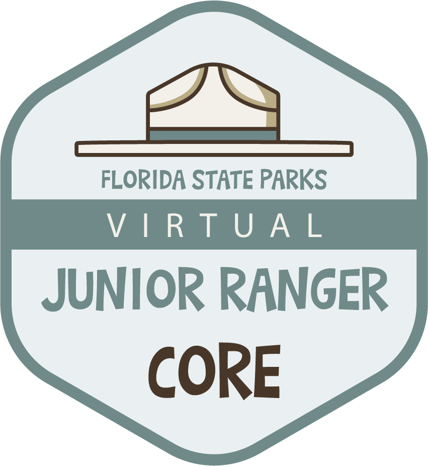 Image of the Virtual Junior Ranger Core Badge