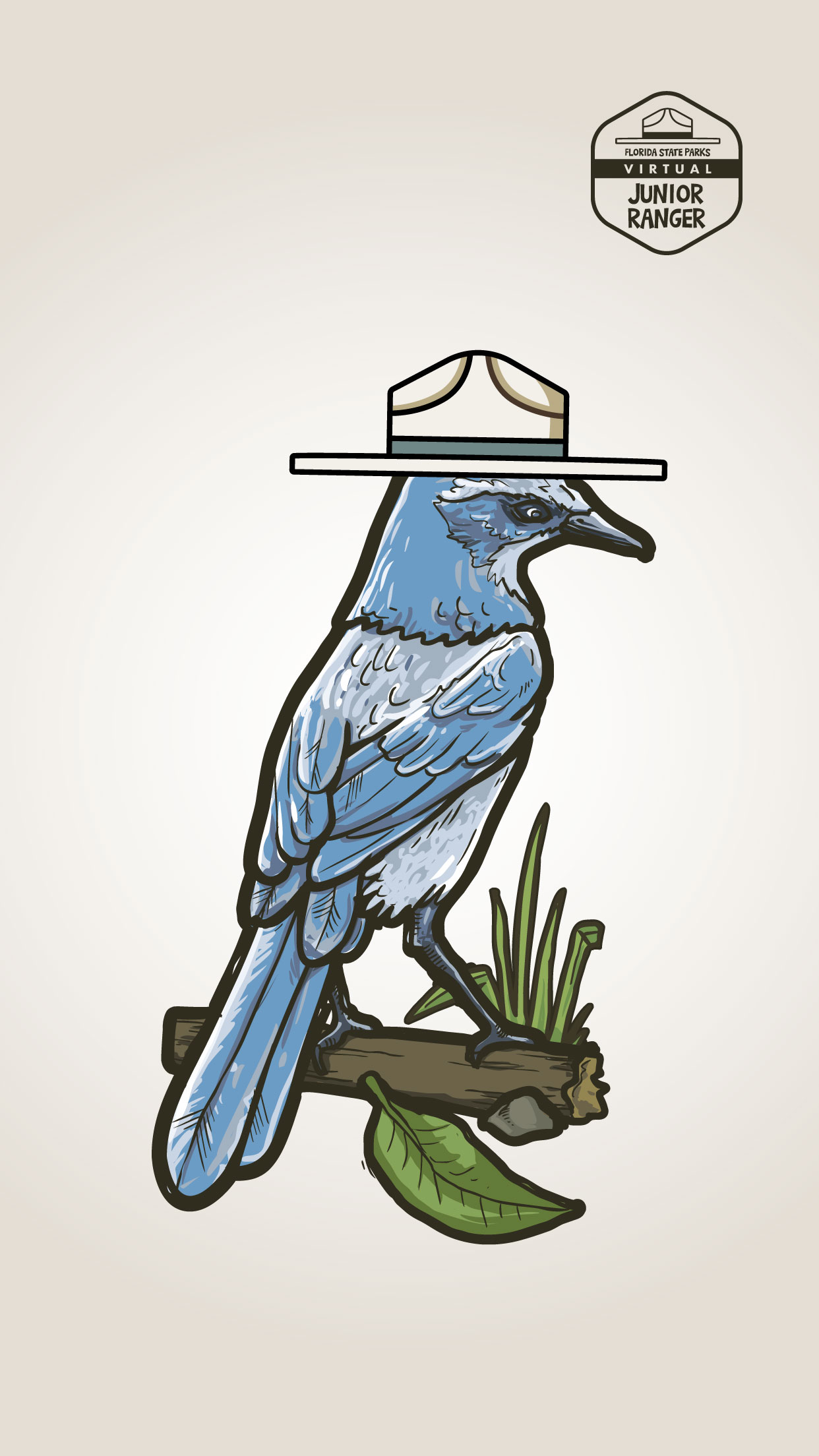 Drawing of a Florida Scrub Jay wearing a ranger hat