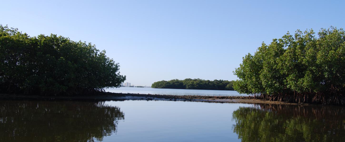 Mound Key Archaeological State Park