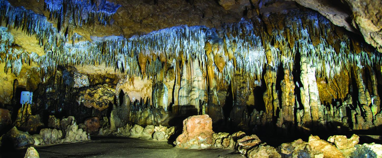 Florida Caverns State Park Florida State Parks