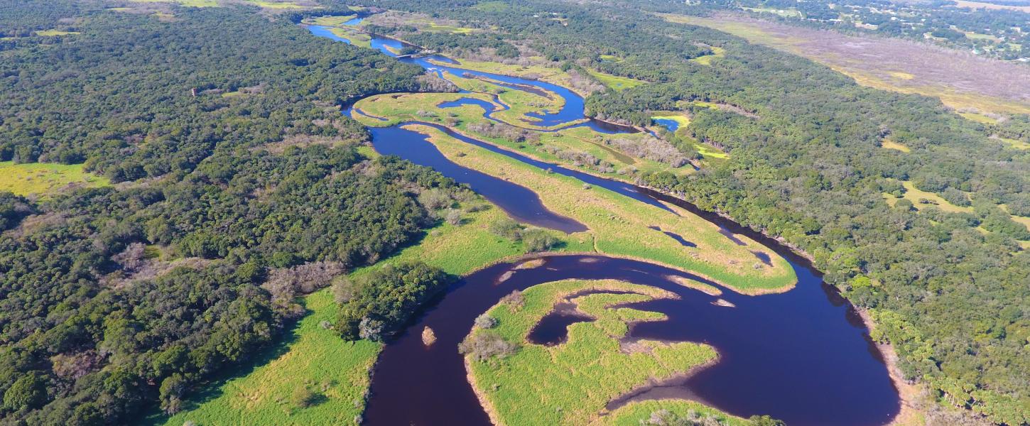 A top down view of Myakka River State Park