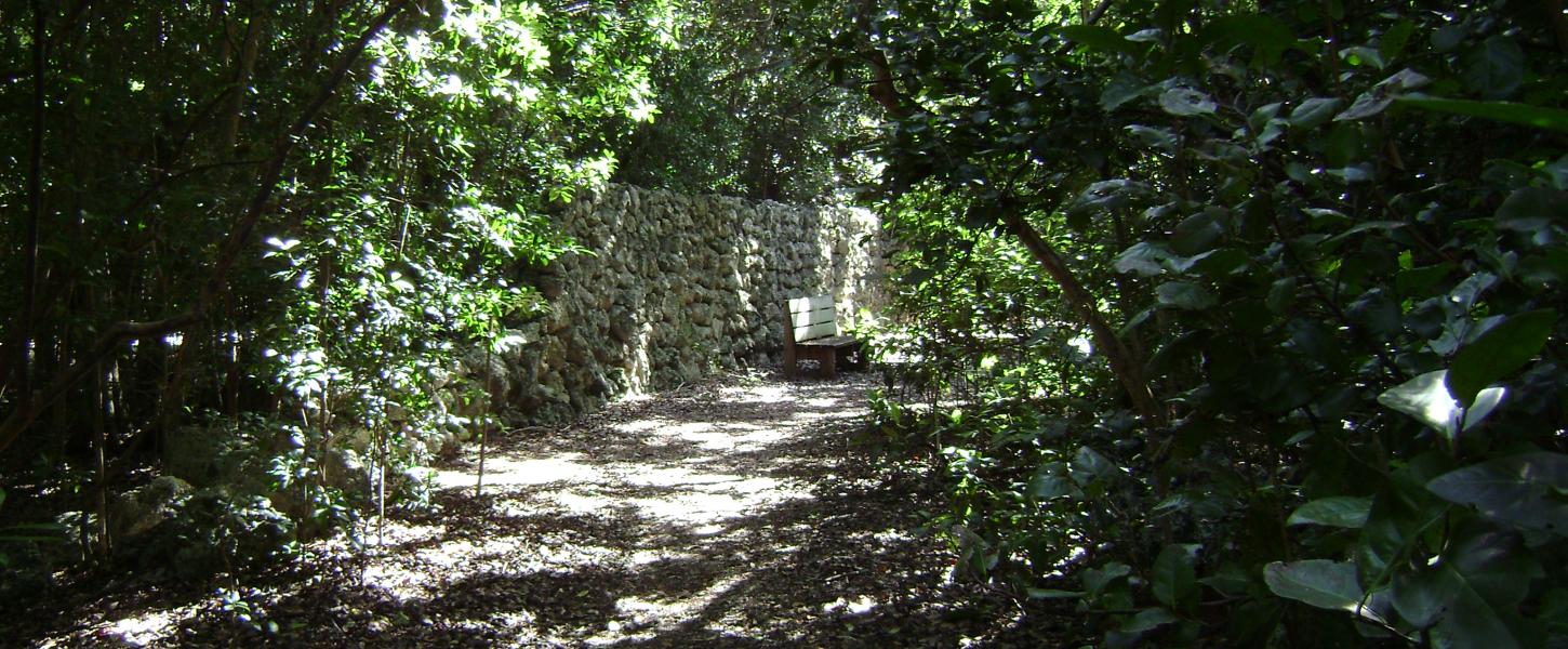 Nature Trail at Dagny Johnson