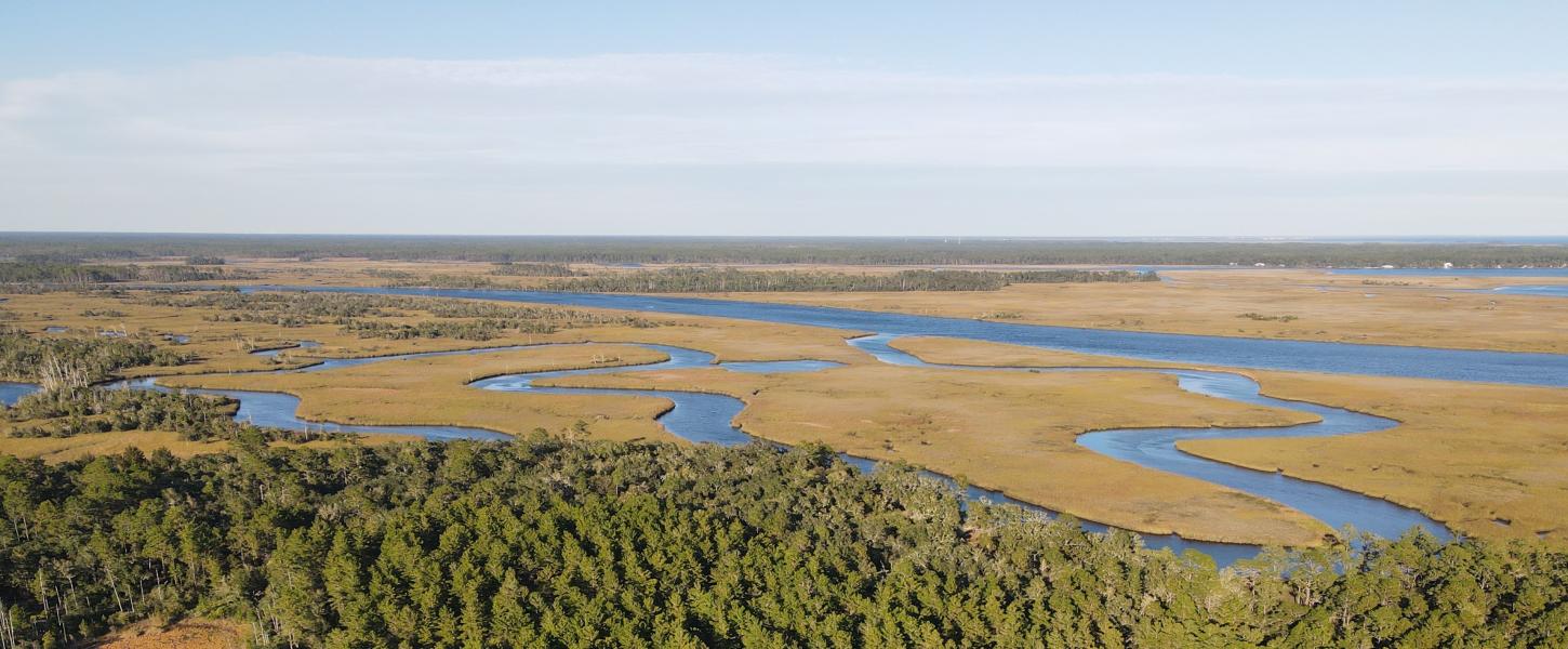 A view of Ochlockonee Bay from the treetops at the Bluffs of St. Teresa