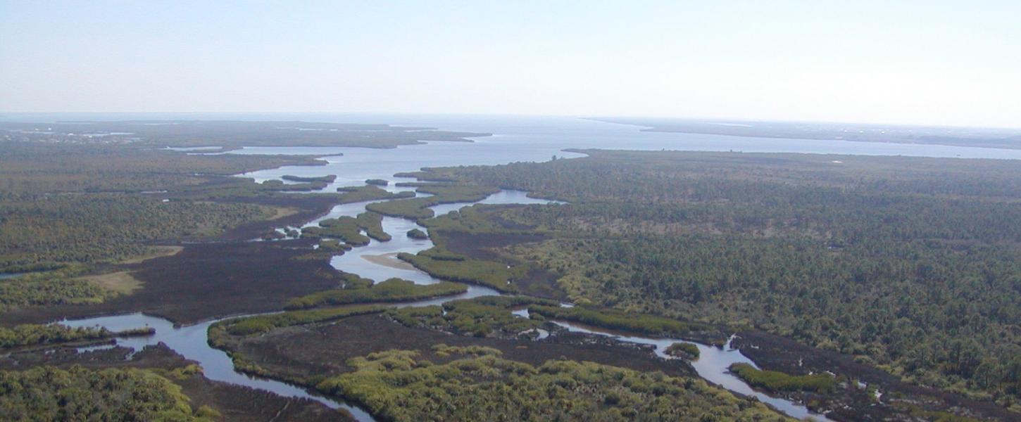 A top down view of the expansive Charlotte Harbor Preserve State Park