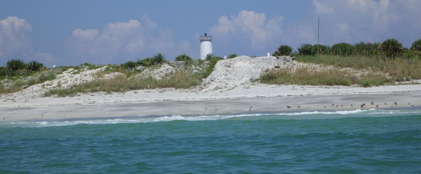 A view of the shoreline at Egmont Key.