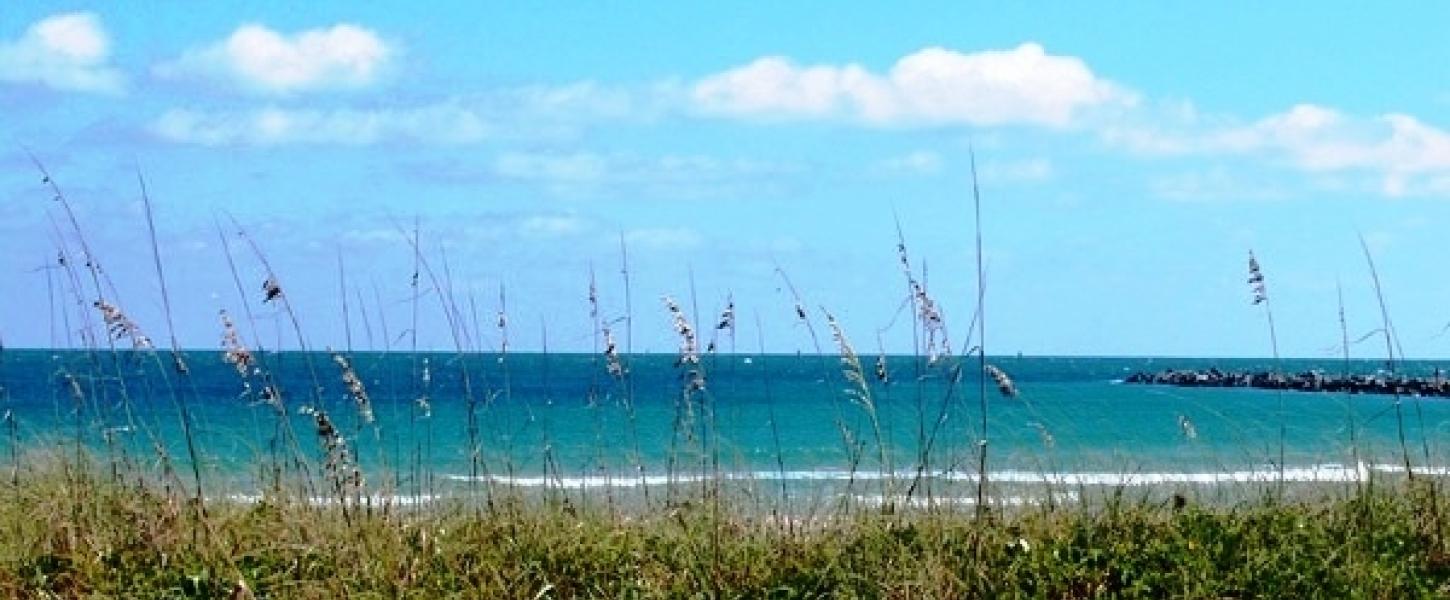 Fort Pierce from the Dunes