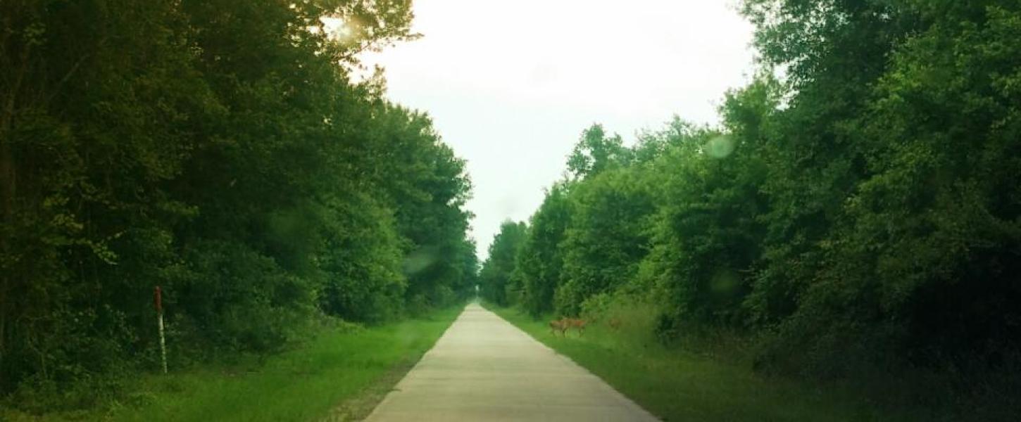 General James A. Van Fleet State Trail