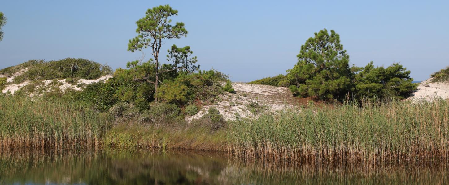 A dune lake at Grayton Beach.