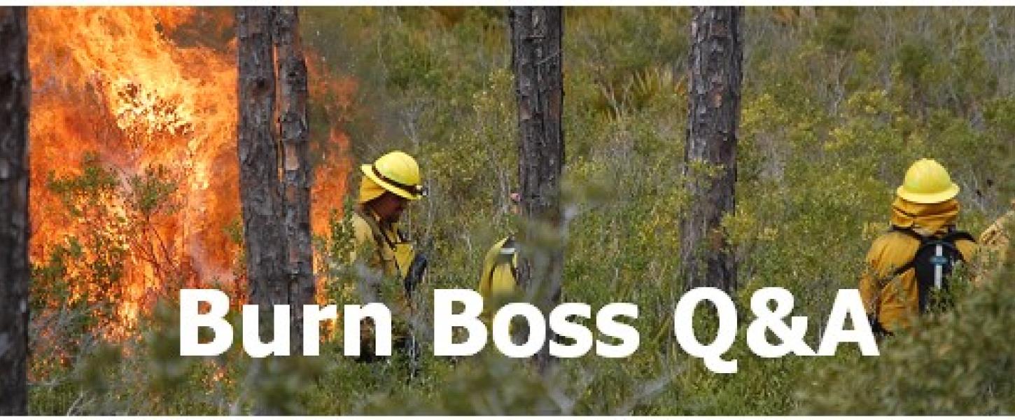 Four people work on a prescribed fire.