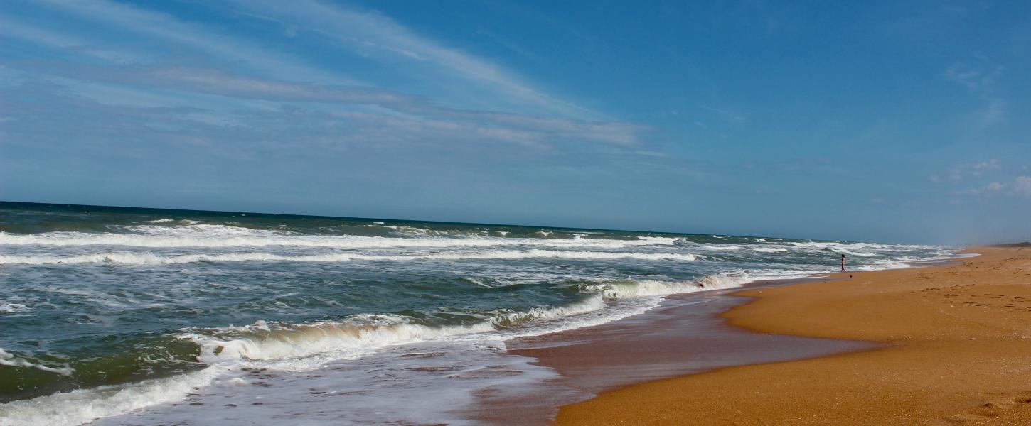 Golden coquina sand at North Peninsula SP