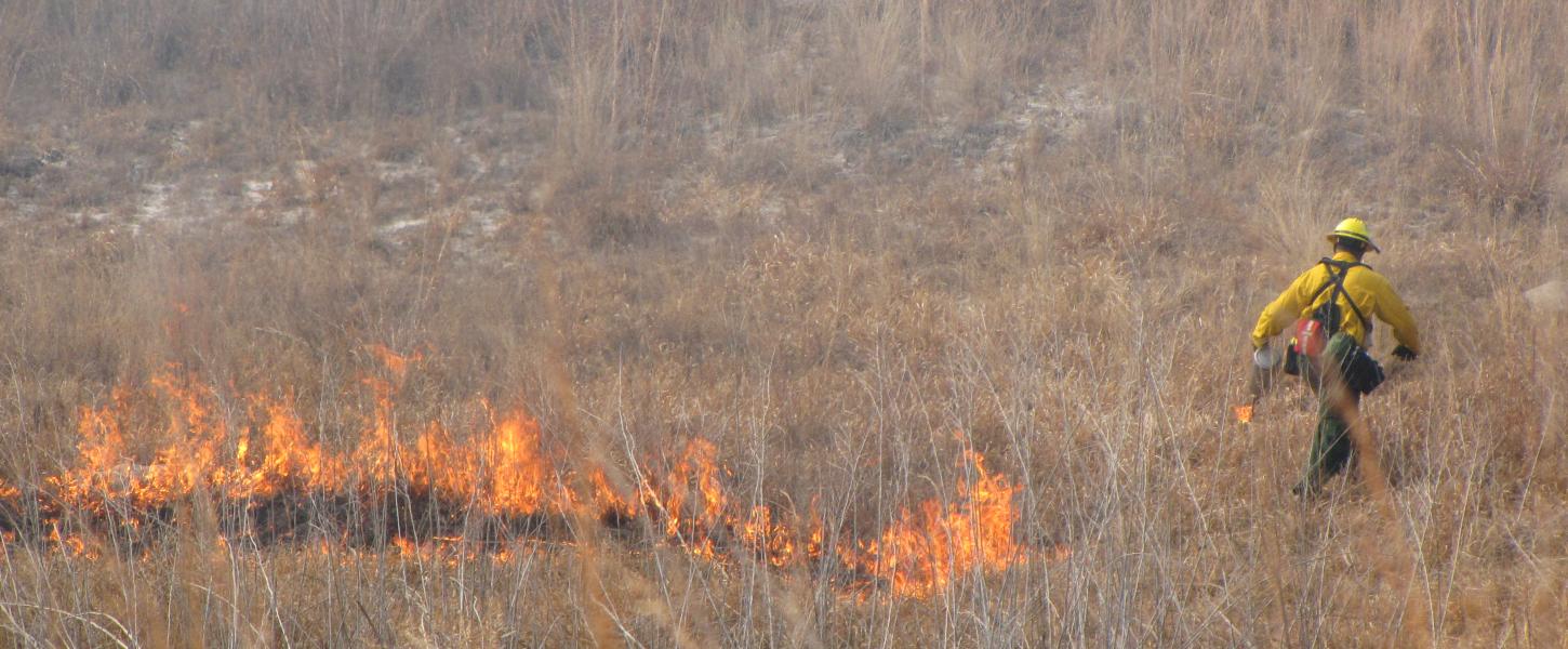Fire crew igniting prairie with drip torch