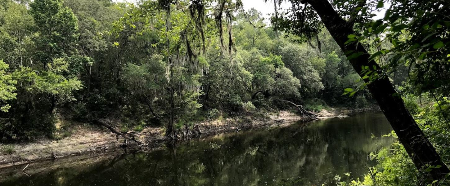 The Withlacoochee River