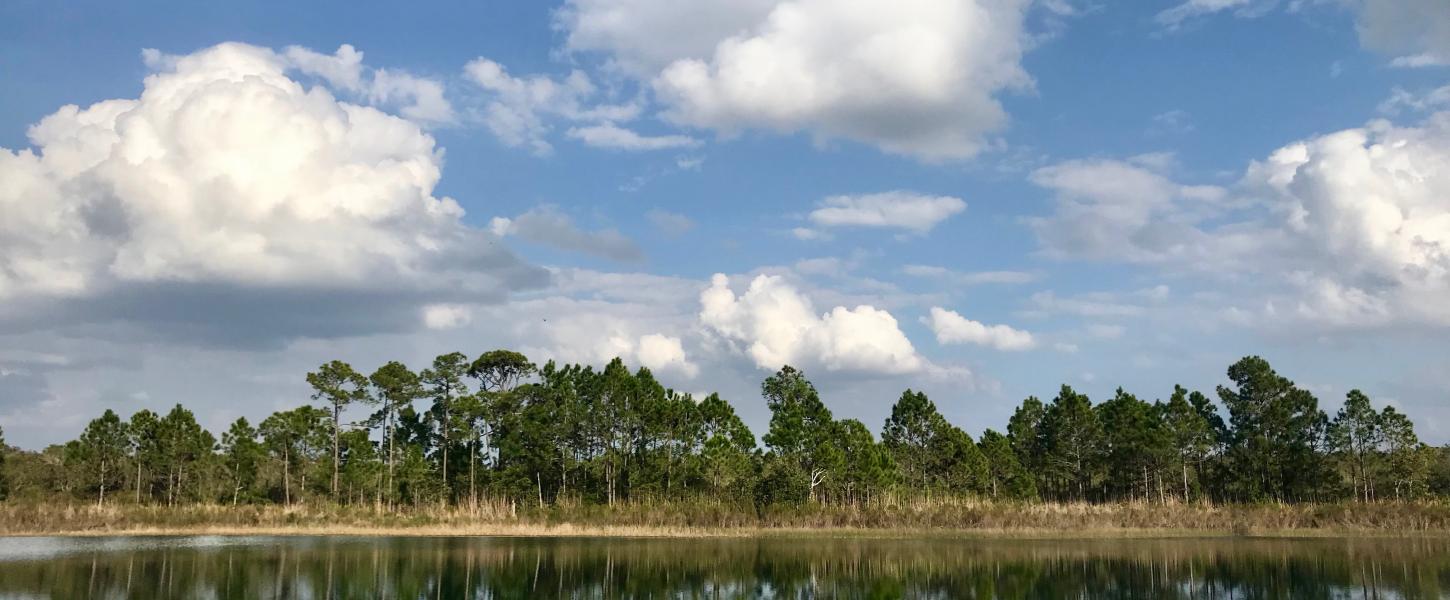 Pond at catfish creek