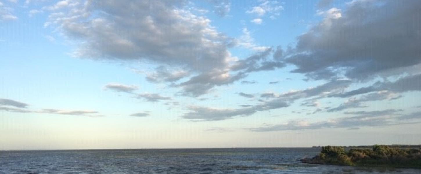 View of Lake Kissimmee from the shore