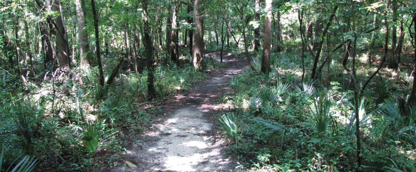 Nature Trail at Madison Blue