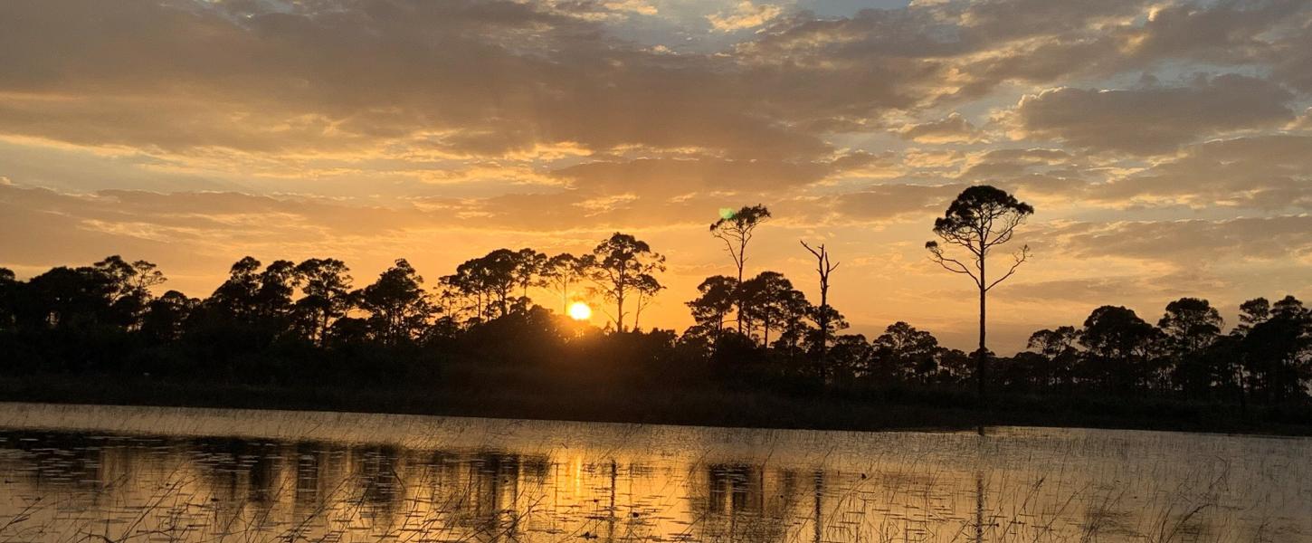 Colorful sunset over a freshwater marsh