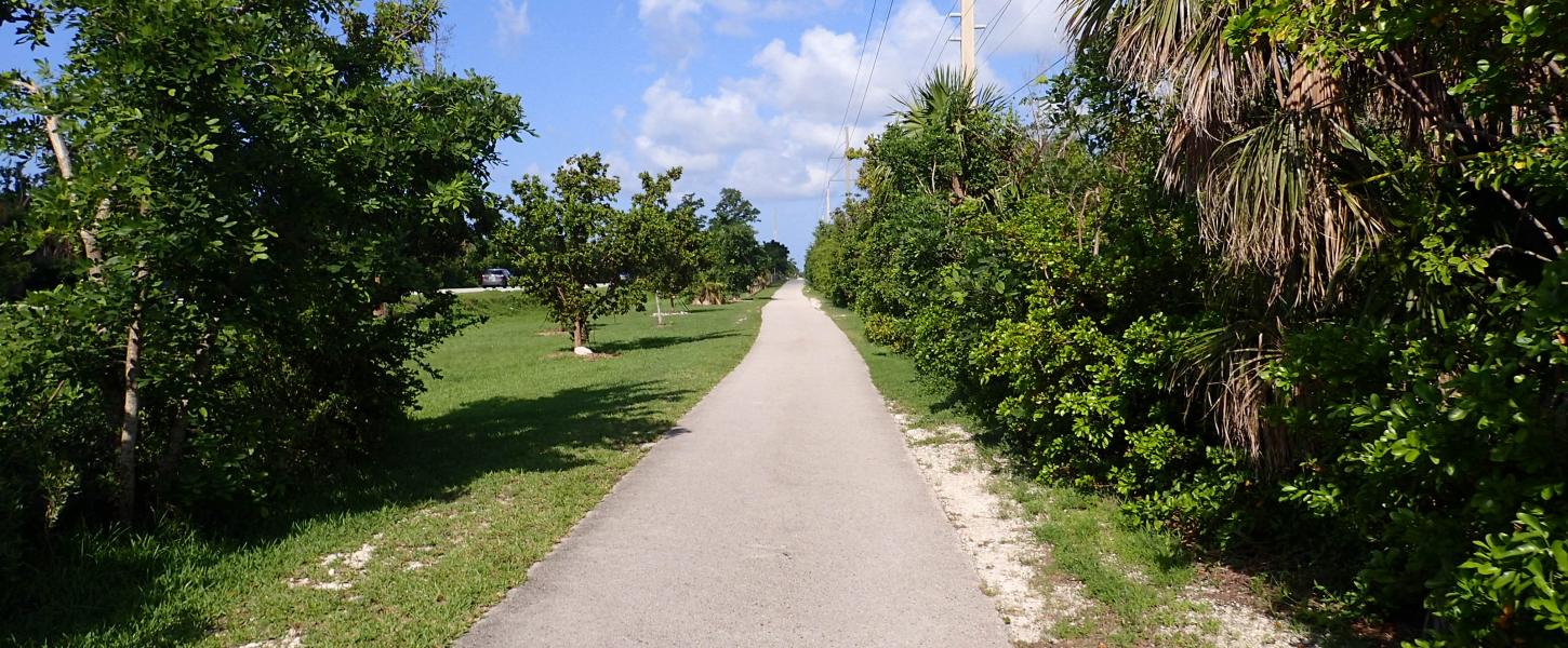 Bike path at Grassy Key