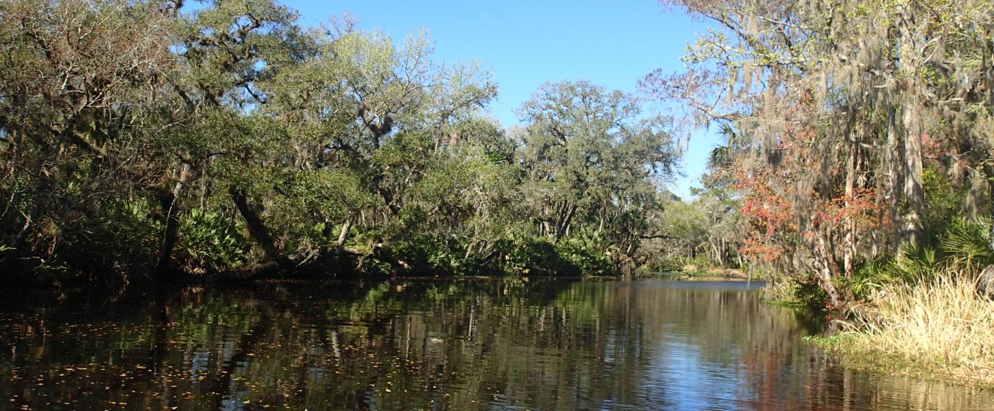 Vista of Haw Creek