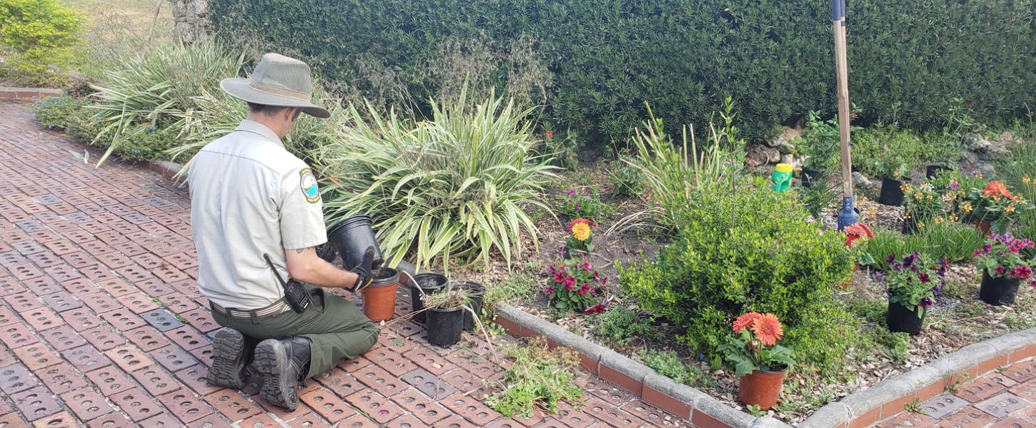 A park ranger tends to a landscaped garden in a park. 