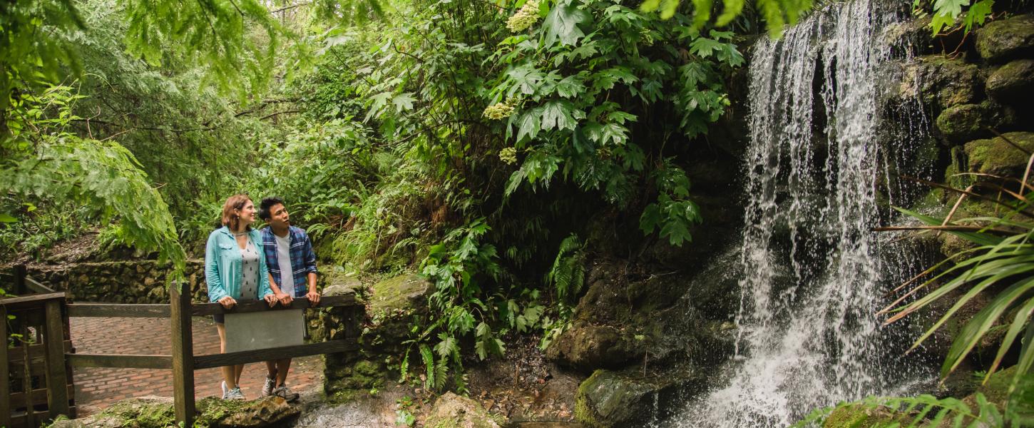 two people standing on a bridge, looking at a waterfall.