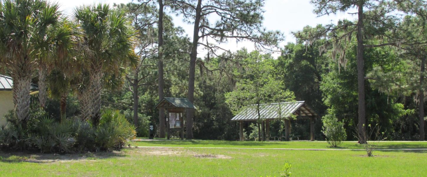 Campground View