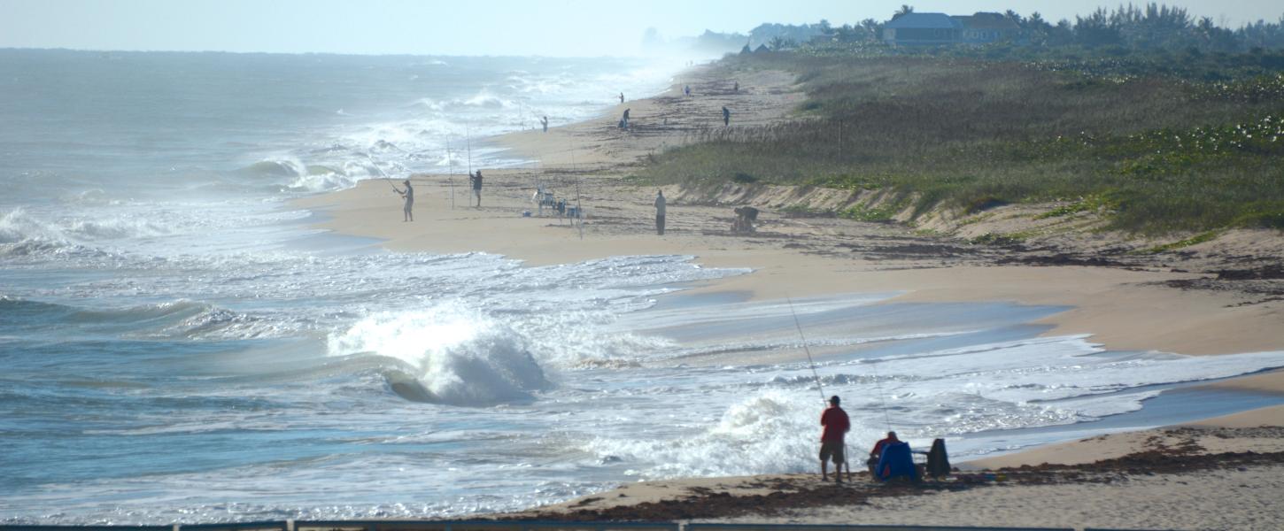 A view of the coast at Sebastian Inlet.