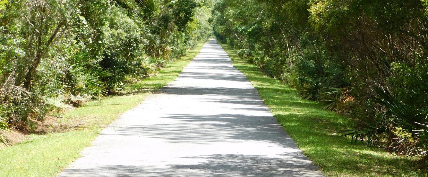 hike, walk, ride, trailhead, equestrian, Apalachicola National Forest