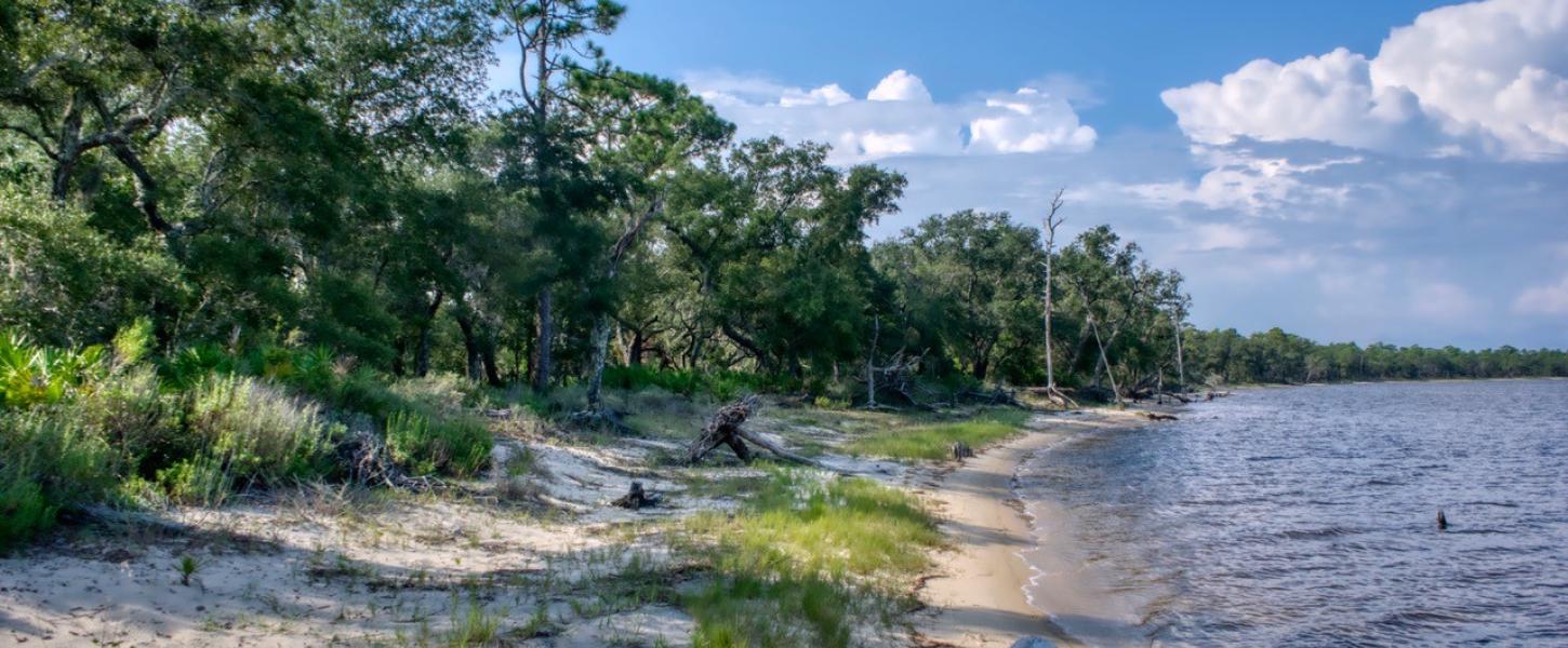 Wet-prairie landscapes surround a picturesque coastal bayou teeming with rare plant and animal species